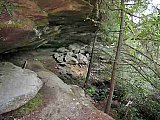            - 2010 Spring Sheltowee Trace Pickett State Park to Hemlock Grove group1