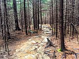 2019 Fall Dolly Sods WV