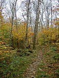 2014 Fall Backpacking Smoky Mnt Russell Field Spence Field Loop