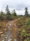 2019 Fall Dolly Sods WV
