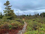 2019 Fall Dolly Sods WV