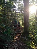 Setting Sun - 2016 Fall Cranberry Wilderness WV
