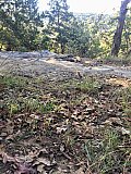 -Fall-Illinois-River-to-River-Trail