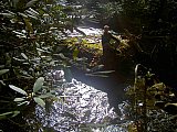 2014 Fall Backpacking Smoky Mnt Russell Field Spence Field Loop