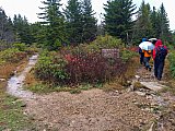 2019 Fall Dolly Sods WV
