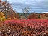 2019 Fall Dolly Sods WV