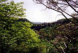 1998 Fall Sheltowee Zacharia to Mariba