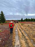 2019 Fall Dolly Sods WV