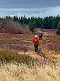 2019 Fall Dolly Sods WV