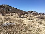 096 - 2018-Spring-Grayson-Highland-AT