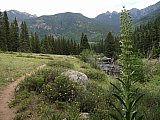 2013 Summer Colorado Continental Divide