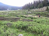 2013 Summer Colorado Continental Divide