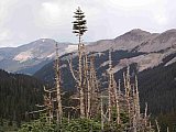 2013 Summer Colorado Continental Divide