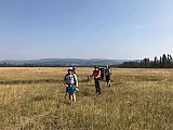 250 827 1015 - 2021 Summer Yellowstone National Park