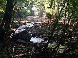 2016 Fall Cranberry Wilderness WV