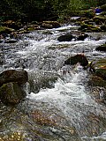 2004 Fall Pretty Hallow Gap to Mt Sterling