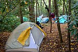 2005 Fall Smokies Walnut Bottoms to Mt Cammerer