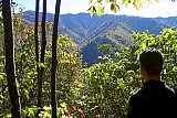2005 Fall Smokies Walnut Bottoms to Mt Cammerer
