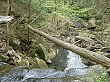 2014 Spring Backpacking Savage Gulf TN