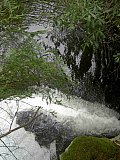 2014 Spring Backpacking Savage Gulf TN